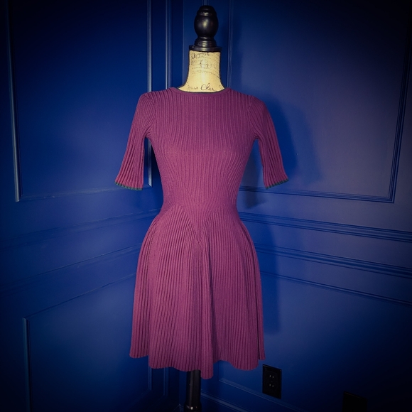 Ted Baker London Dresses & Skirts - Ted Baker "Renyina" Wine Knit Fit and Flare Dress